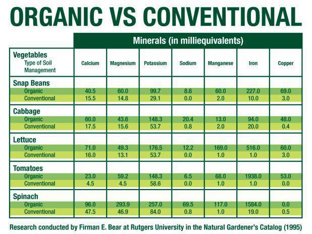 ORGANIC FOOD